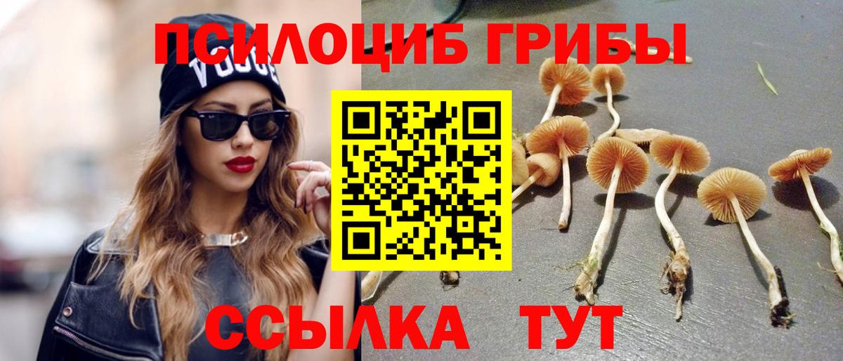 Тулун  Псилоцибиновые грибы мицелий  Вход с VPN 